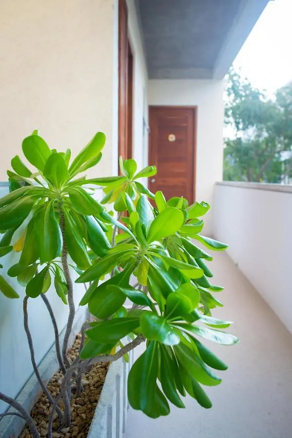 Suites Cielo Y Mar (Adults Only) Playa del Carmen 3*,